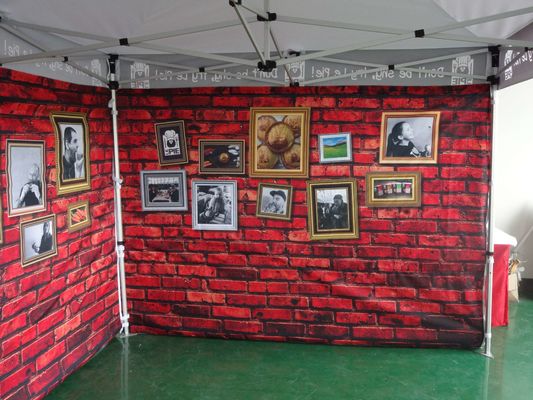 Auvent pliant de publicité extérieur de belvédère de la tente 10X20FT d'auvent de promotion