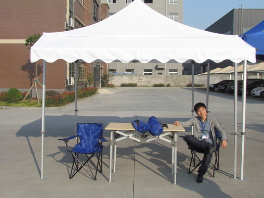 Le mobile campant d'expositions cale les tentes hautes faciles imperméables de l'auvent 10 x 10 d'arrière-cour